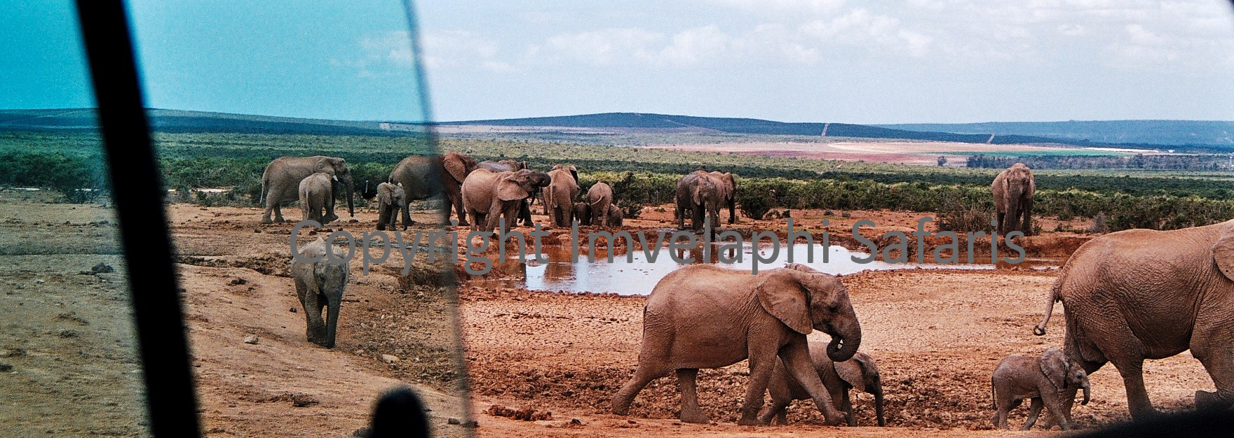 Addo NP Pic 1