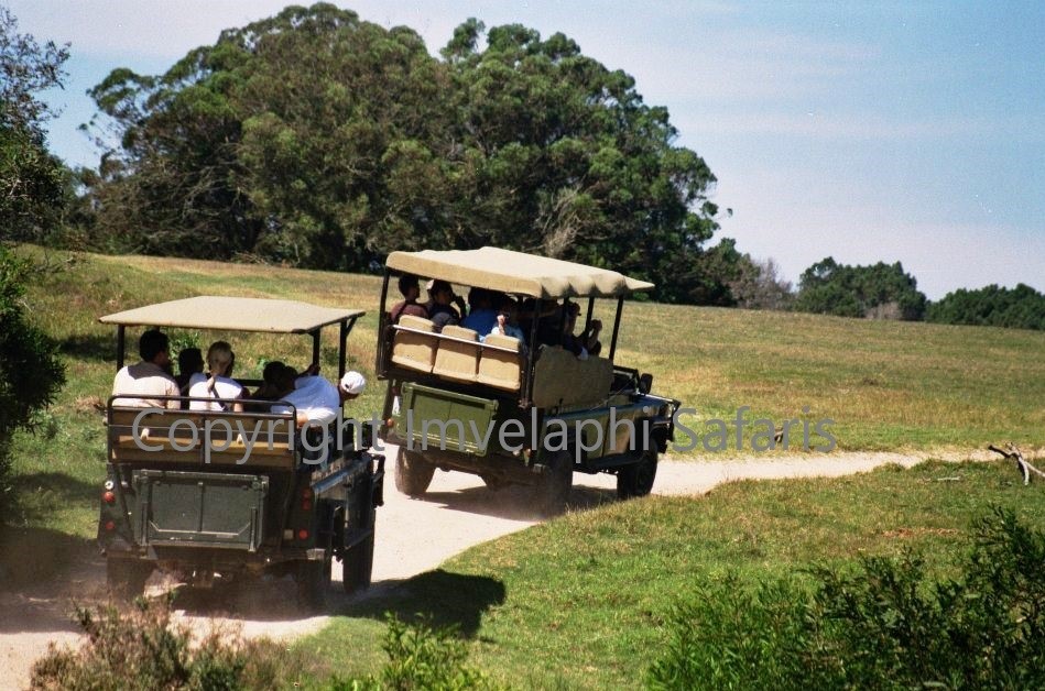 Kragga Kamma Game Park